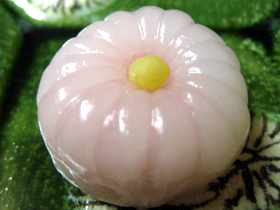 山路の菊