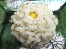 白菊
