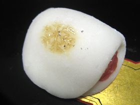 雪の華